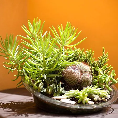 Casa Yoaki Apartamento *